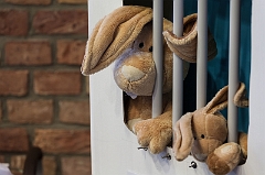 2016_12_02 11_03_37 - Ronald Zimmermann